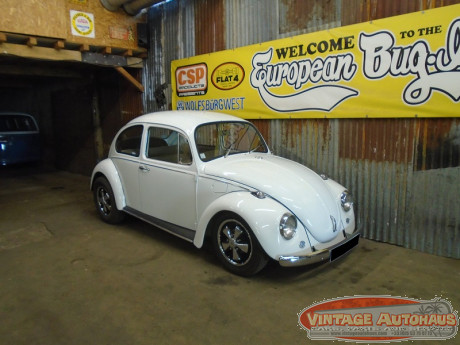 VOLKSWAGEN COCCINELLE  