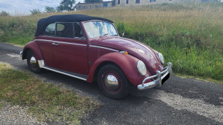 VOLKSWAGEN  COCCINELLE CABRIO